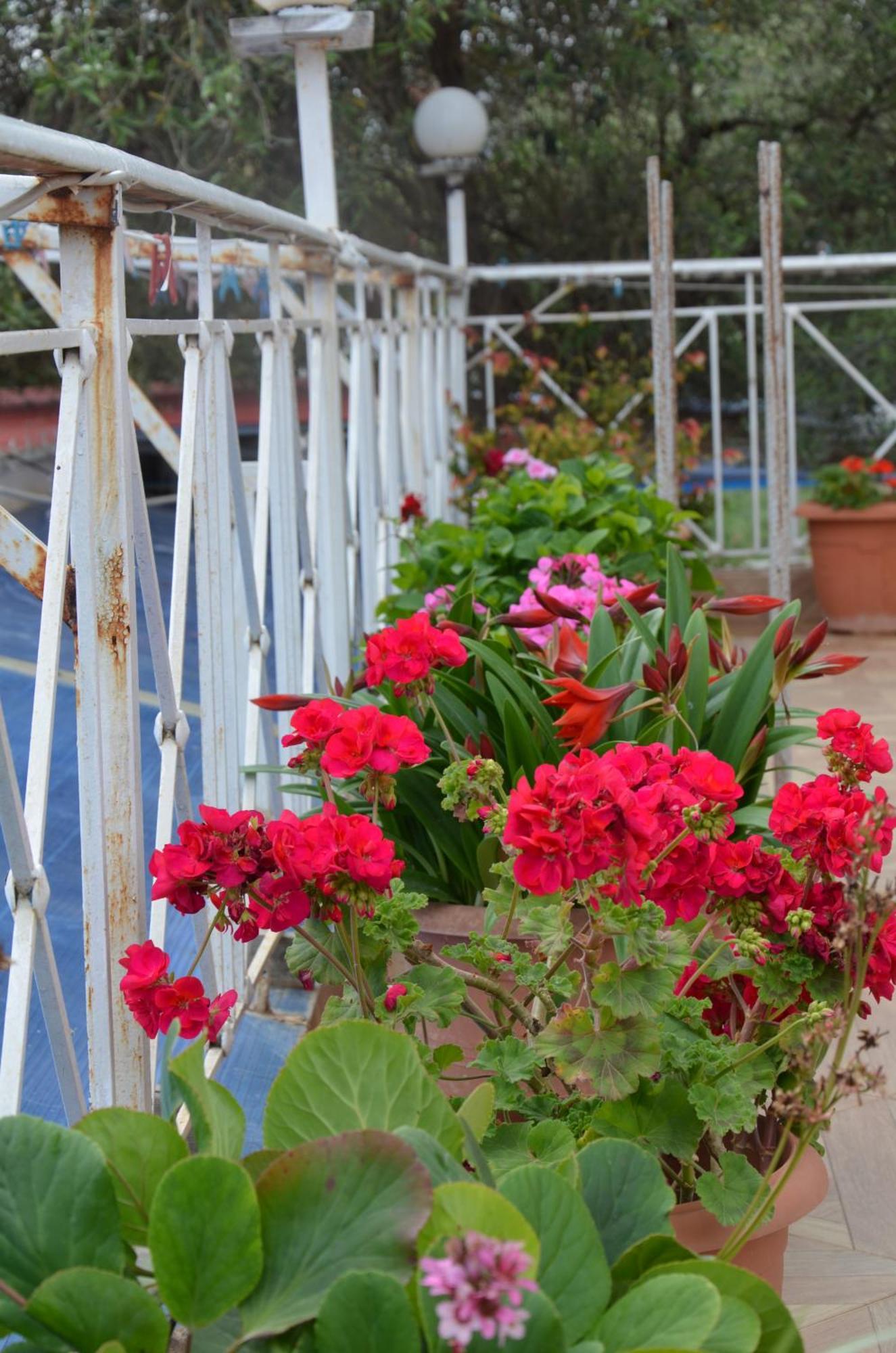 Garden Villa Veli 卡萨米尔 外观 照片